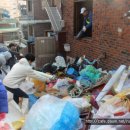 신사동-12 이미지