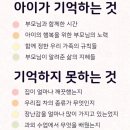 용인대송중태권도장 이미지