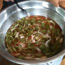 보리농장 이미지