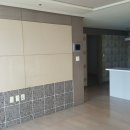 스카이비젼 이미지