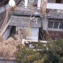 서울정덕초등학교 이미지