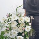 플로맨틱 이미지