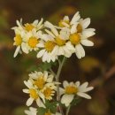 한율농원 이미지