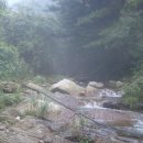 청산농원 이미지