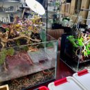 아쿠아플랜트디자인 이미지