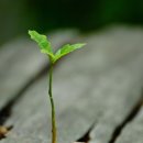 김인상한의원 이미지