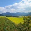 오미마을 이미지