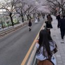 3-4월은 나의 날아올라 찬스