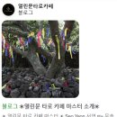 창동타로카페