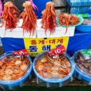 주문진 수산 이미지