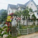 월대산로 이미지