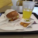 pet64거6000 이미지