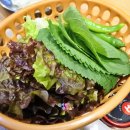 일학식당 이미지