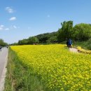 동막천자전거길 이미지