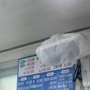 용원네과일 | 😄씨와 함께 ~입안 가득 시원 상큼! 진해 용원횟집에서 즐긴 특별한 과일효소 물회 후기