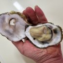 대명냉동 이미지