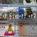 Park | 분당 동물의약품약국 강아지 심장사상충약 하트캅 구입