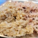 옛날보리밥 이미지