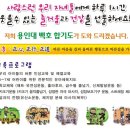 백호용인대합기도 이미지