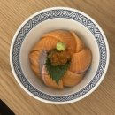 성수사 | 성수 맛집 무화화 | 연무장길 일식 맛집에서 사케동과 마제우동 먹은 후기