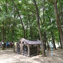 계림정야영장 이미지