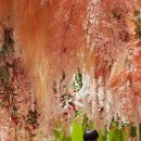 풍성한지역아동센터 이미지