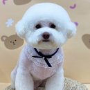 장군행정사사무소 이미지