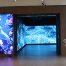 독도체험관 | 영등포 타임스퀘어 아이랑 방문하기 좋은 곳 독도체험관 후기(+주차 팁)