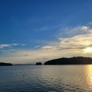 님 바래기 이미지