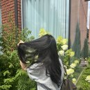 터미널미용실 - 고창군 성산2길 6 | 남부터미널 미용실 살롱드벨 서초동 30년 경력 염색 후기