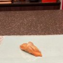 UR(광주광역시)-[용대로]-하-18 | 광주 봉선동 스시 오마카세 맛집,기념일 추천 맛집 _ 네츠이