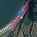 금알공인중개사사무소 이미지