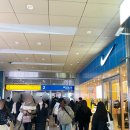 [일상] 연말모임하기 좋은 분위기좋은 코스요리 서울역 도원스타일 후기