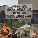 서울애견마트 | 춘천 리하우스 펜션 블루동 애견동반 후기(근처 마트, 편의점, 바베큐, 불멍등 내돈내산 총정리 리뷰)