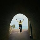 세븐일레븐 동해묵호항점 | 2026 묵호 잘 무코갑니다아🩵