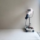 보느몽뜨 이미지