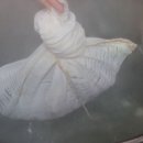 대중국밥 이미지