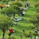 갈월서로 이미지