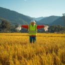 들녘 옷 이미지