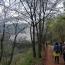 계족산황톳길 이미지