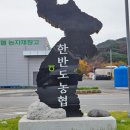 위드힐링 | 영월 단체 여행 위드힐링캠핑장 펜션 후기
