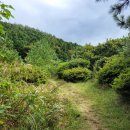 모구리야영장(체력단련장) 이미지