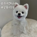 살롱드멍뭉