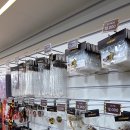 스포츠파크 정문 이미지