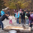 다람이마을 이미지