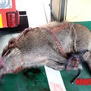 도심초등학교 이미지