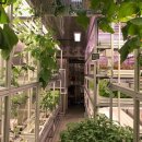 더원농장 이미지