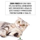 가평동물병원 이미지