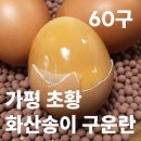 해닮터