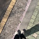 미래상사 | [임신 28,29,30주 차] 미래아이산부인과 입체 초음파, 임신 후기 증상, 임신 후기 몸무게 변화, 태동...